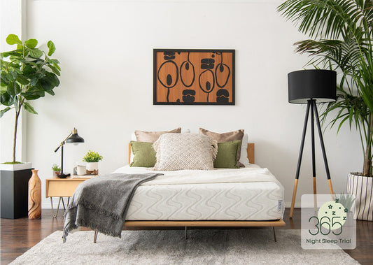 Maplecrest Home - Quail Responsive Foam